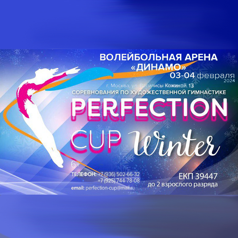 Соревнования по художественной гимнастике «Perfection Cup Winter»